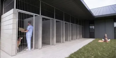 fenced area with caged rooms for animals