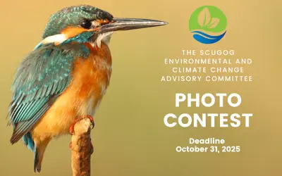 Photo of bird on branch with SECCAC Logo and caption reading "The Scugog Environmental and Climate Change Advisory Committee Photo Contest, Deadline October 31, 2025"